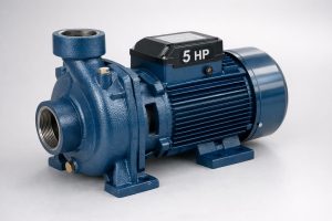 Single-Stage Centrifugal Water Pump