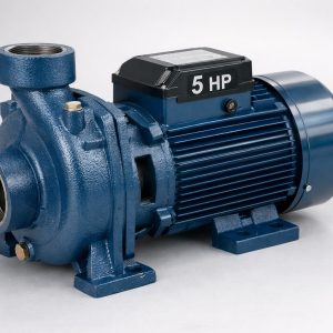 Single-Stage Centrifugal Water Pump